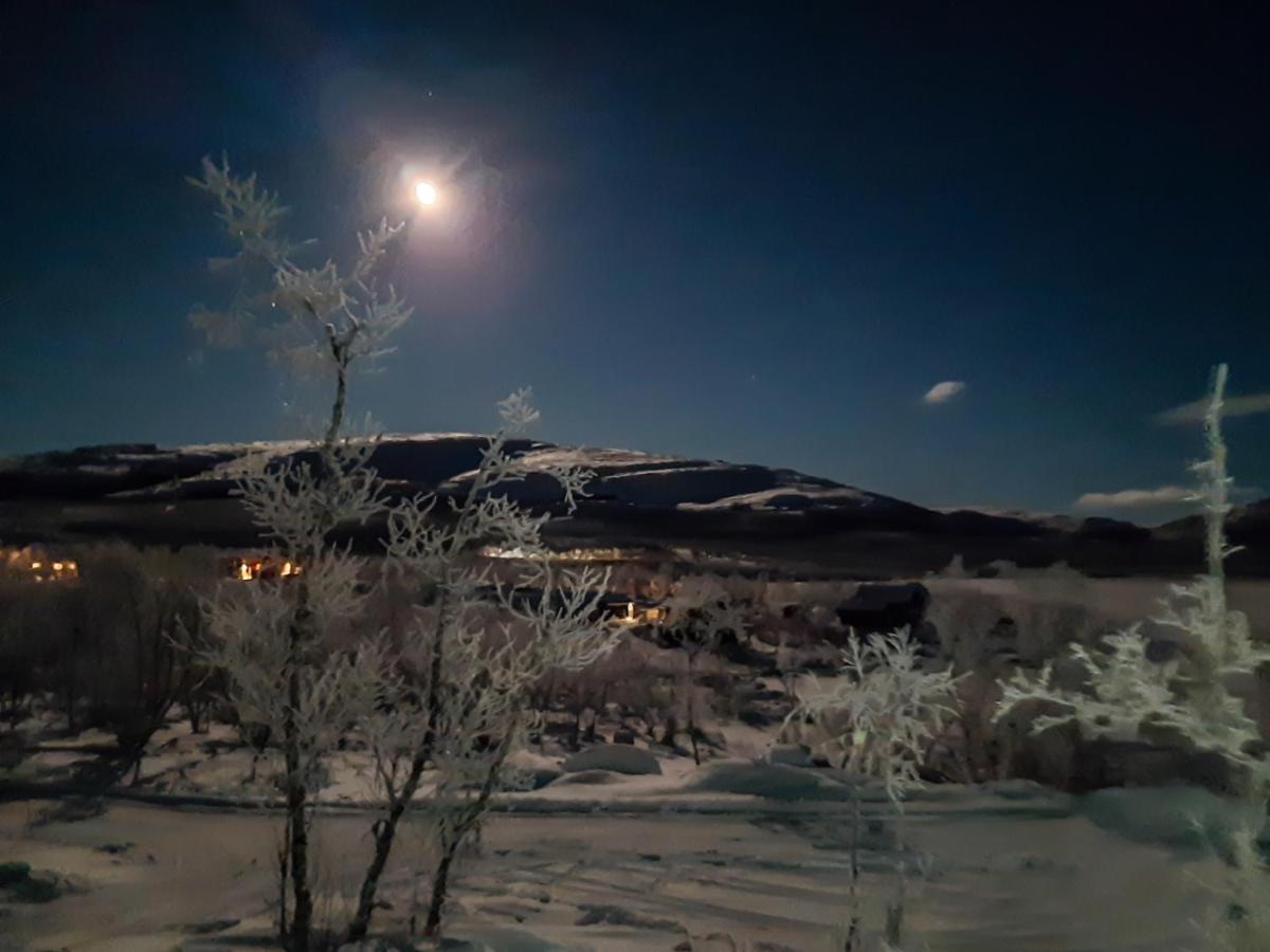 Naali Moekki Hotell Kilpisjärvi Exteriör bild